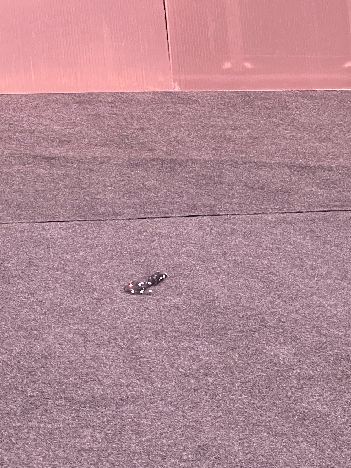 烙铁。。。红毯上掉了个假发夹。。。是哪位艺人的啊啊啊啊啊啊啊啊啊 