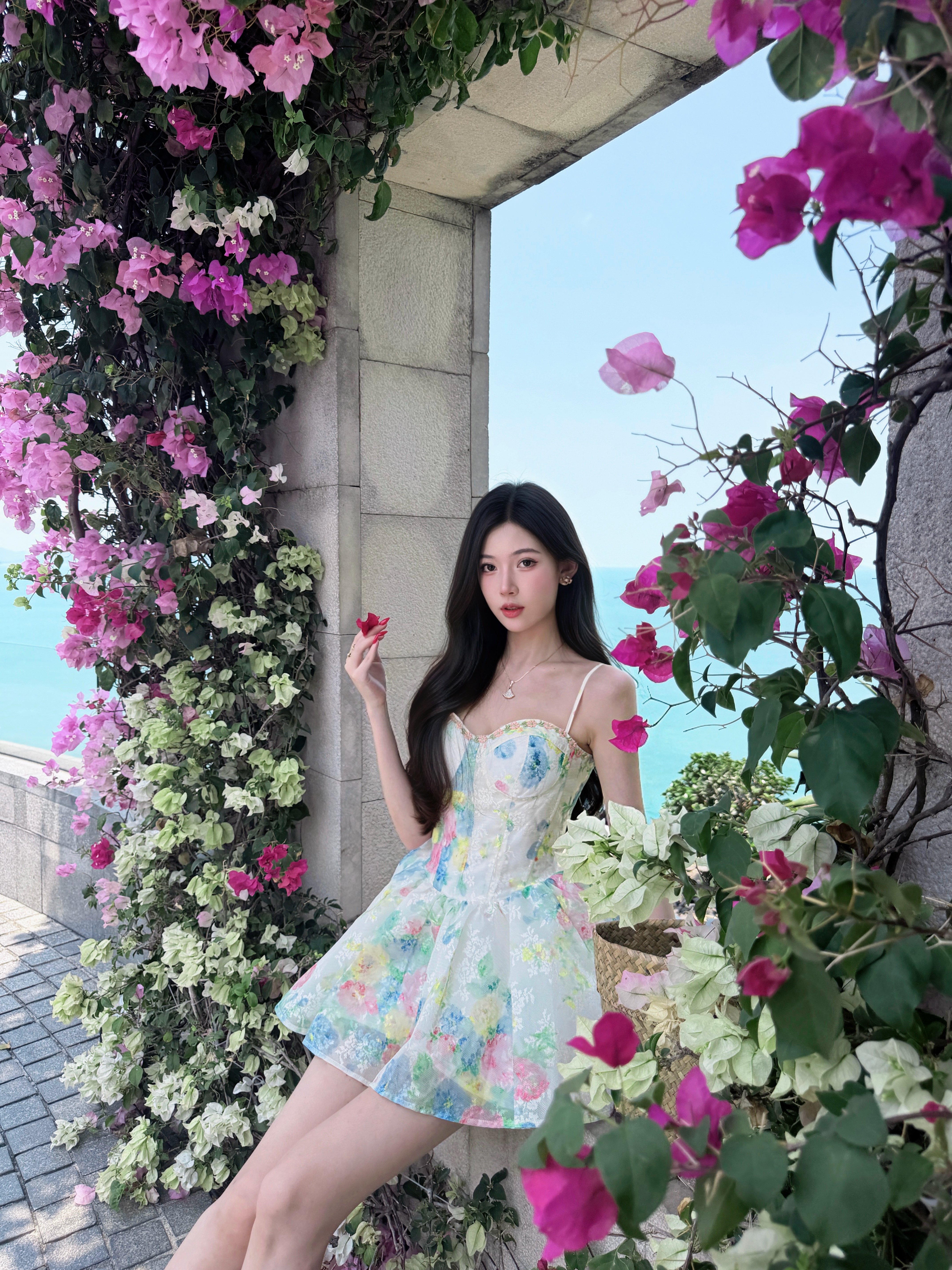花墙与海🌸 