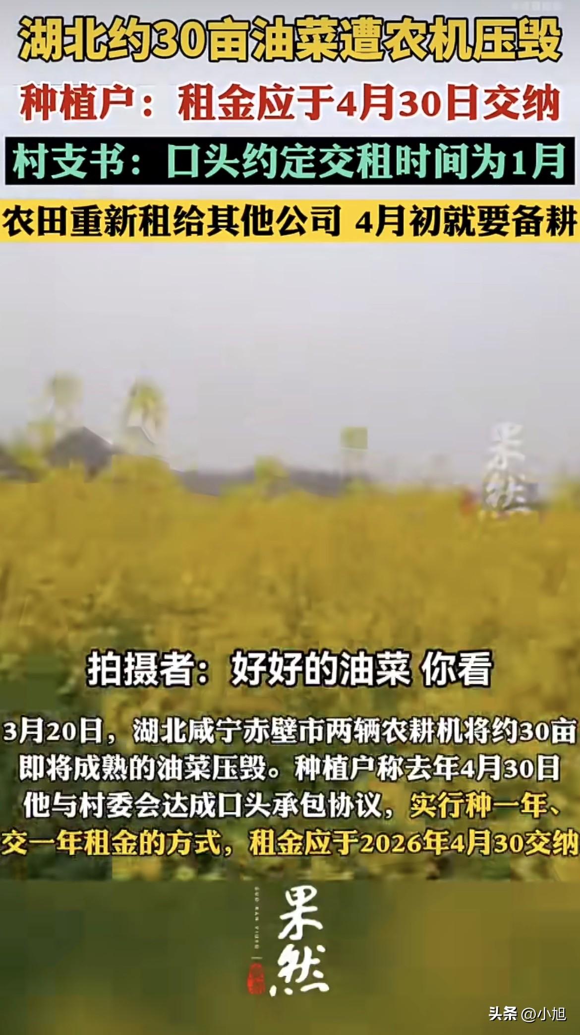 3月20号下午，湖北咸宁赤壁市土城村六组，两台农耕机直接开进了高标准农田。

3