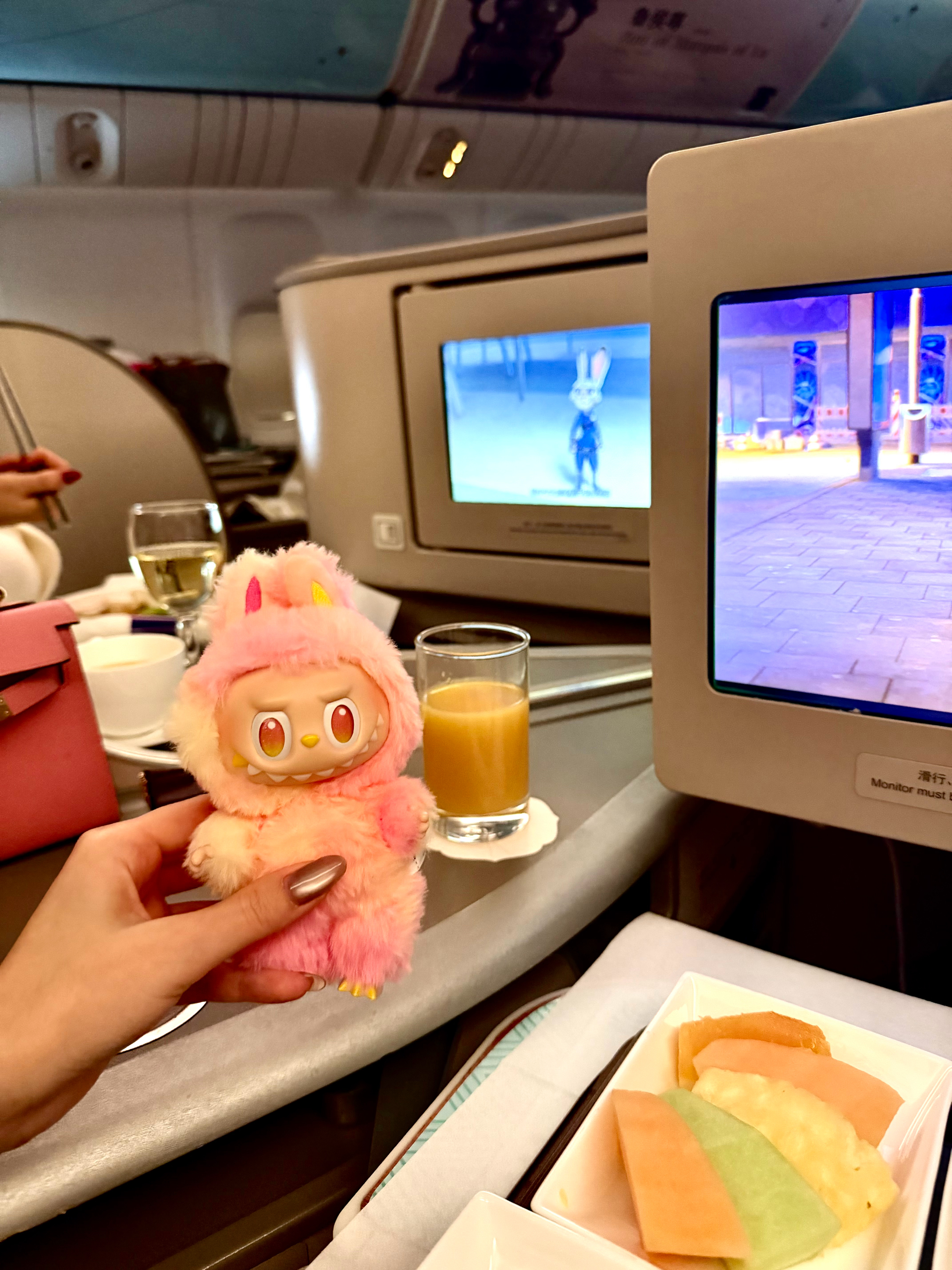 🇸🇬 新加坡·新加坡樟宜国际机场(Changi Airport)