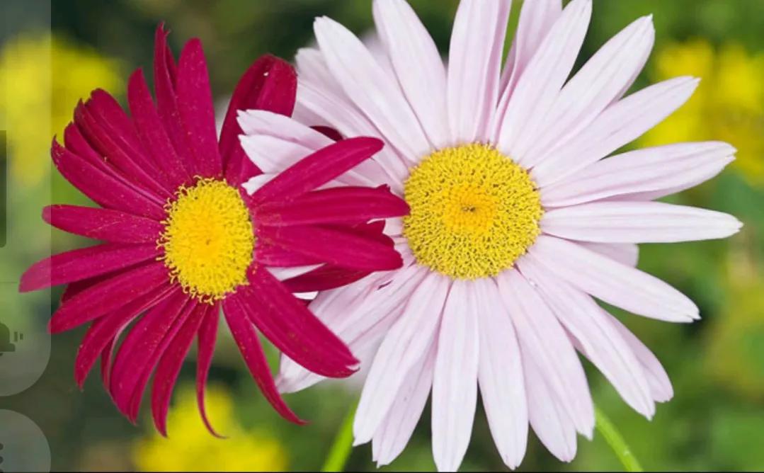 不是岁月改变了生活脾气，而是生活磨平了棱角。

你的棱角呢
你的骄傲呢
你的笑声