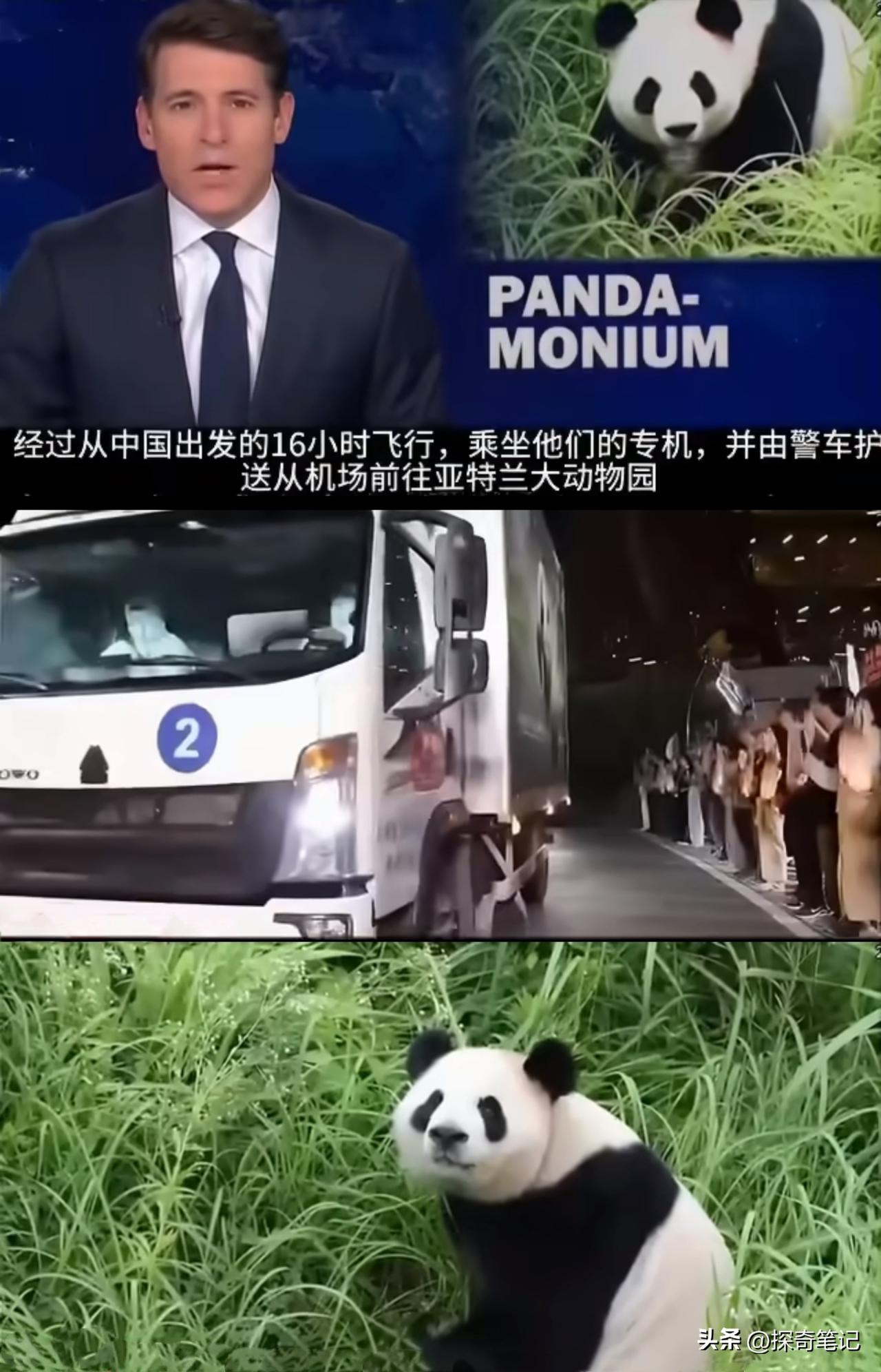 “平平”和“福双”到了。专车开道，人群夹道，当地商家挂出中英文招牌。亚特兰大动物