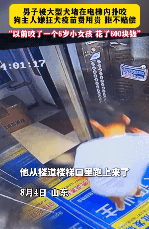 山东，一男子坐电梯准备回家，突然从外面冲进来一条没拴绳的大型犬，二话不说就开始撕