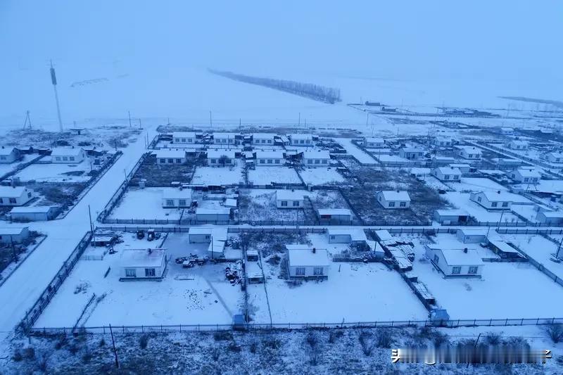 呼伦贝尔暴雪致325人被困 2026年2月21日晚，呼伦贝尔草原遭遇极端风雪，3
