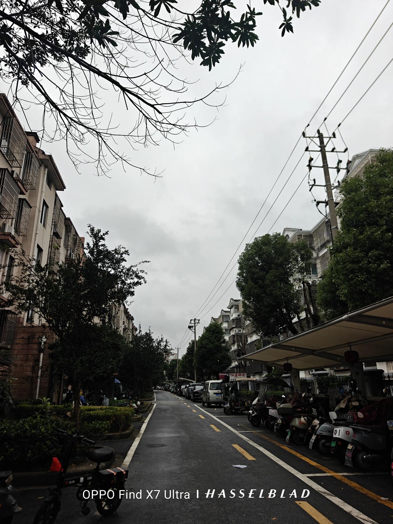 那天我偶遇表哥，他问东问西问男问北，问我爹我妈，还问我们家西瓜：

你们几时办酒