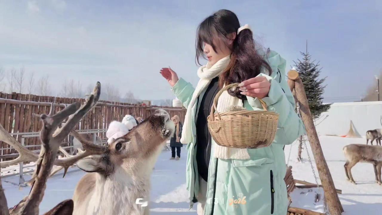 亚布力一日游雪 雪乡