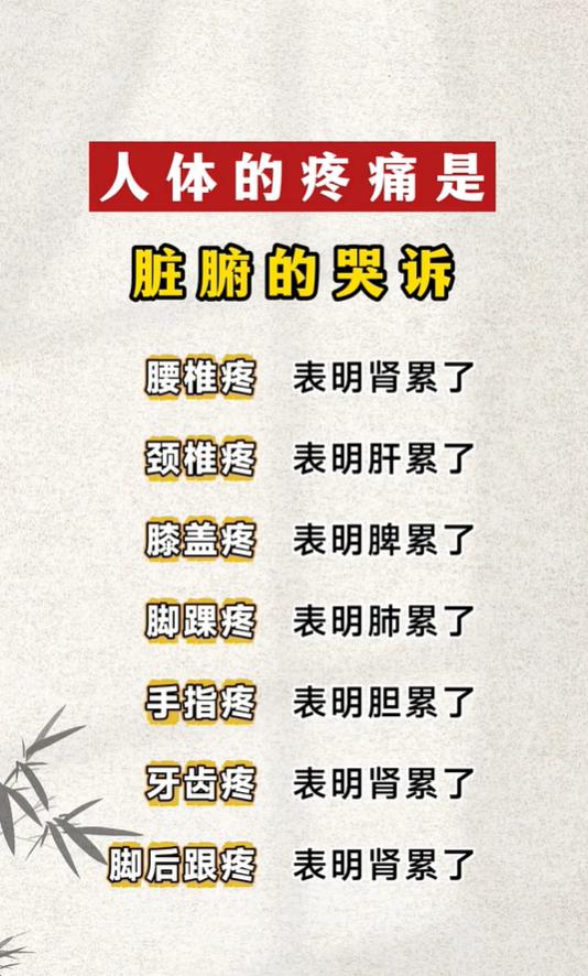 在中医理论中，体表的疼痛不适，往往可以作为了解脏腑状态的参考信号。身体不同位置的