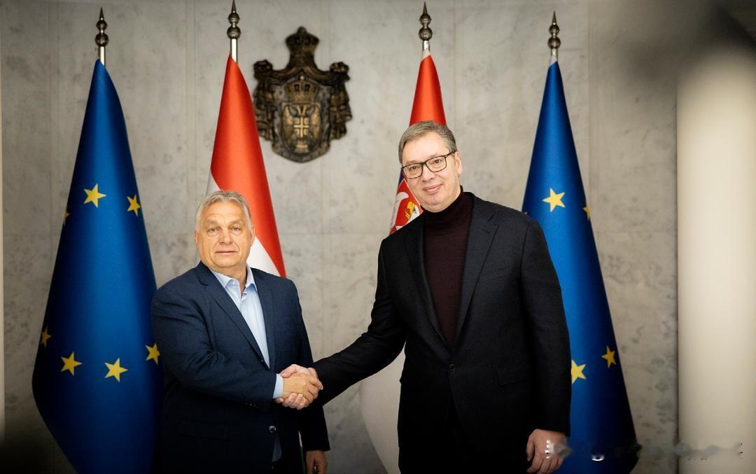 欧尔班的离职对武契奇有何影响？
毛焦尔想短期内完全“去塞化”难已做到，但长期将推