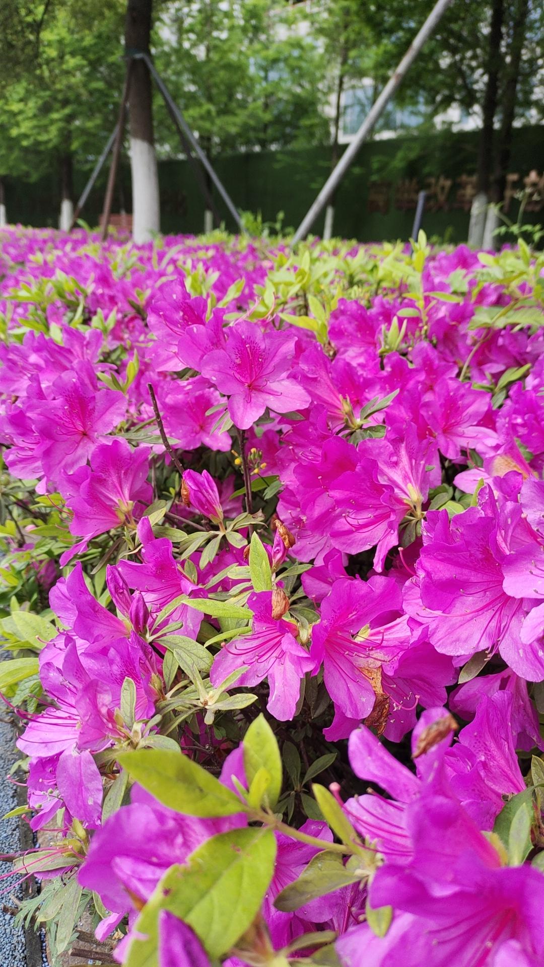 赚钱的意义

我们劳心劳力日复一日，年复一年，

赚钱的意义到底是什么？

早上