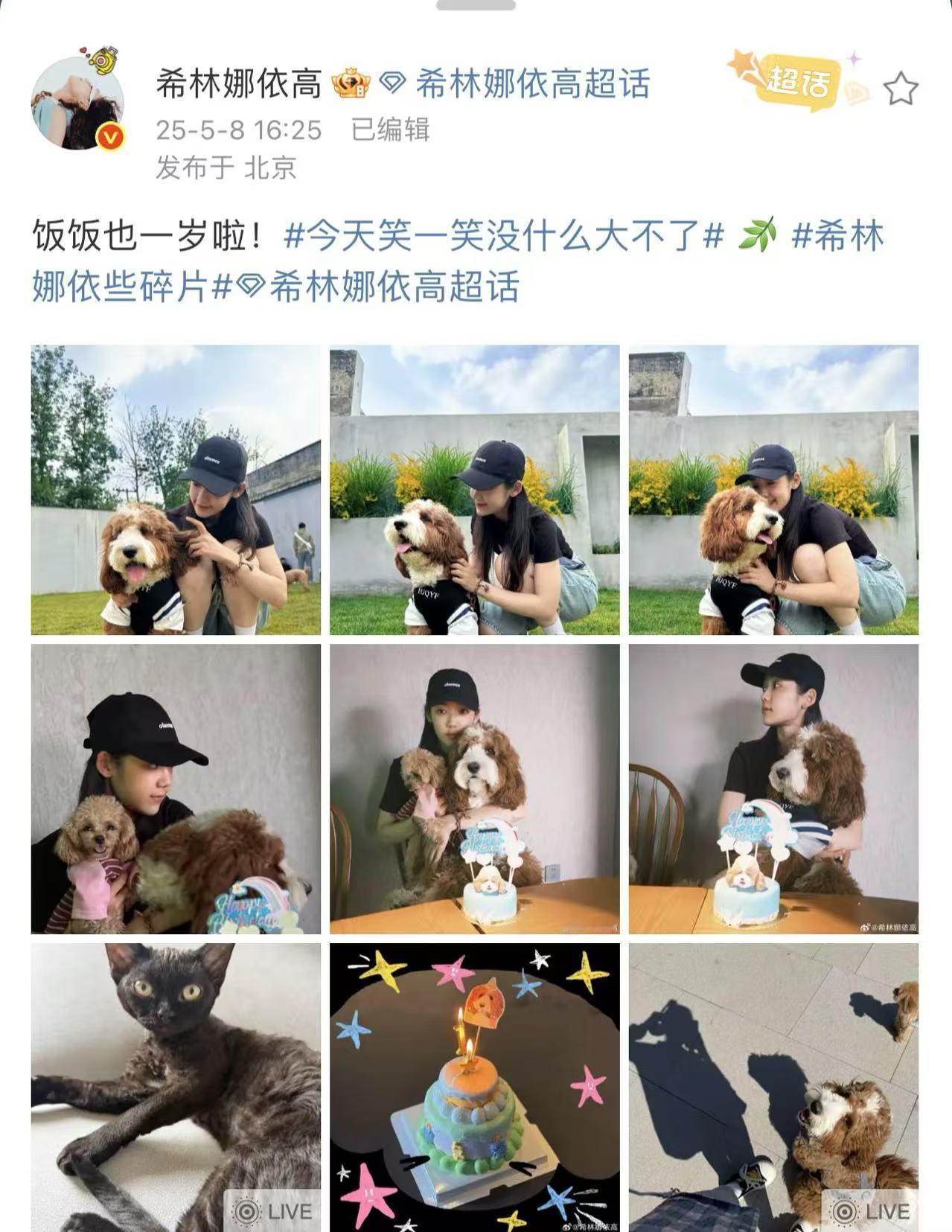 希林娜依高晒狗 希林娜依高晒狗真的是太有意思了呀，这一次真的是咱们的姐姐和她的潦