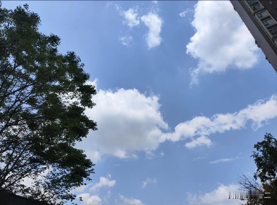 人在成长的过程中，会慢慢明白，真正的幸福不是看你拥有多少，而是看你计较多少。
