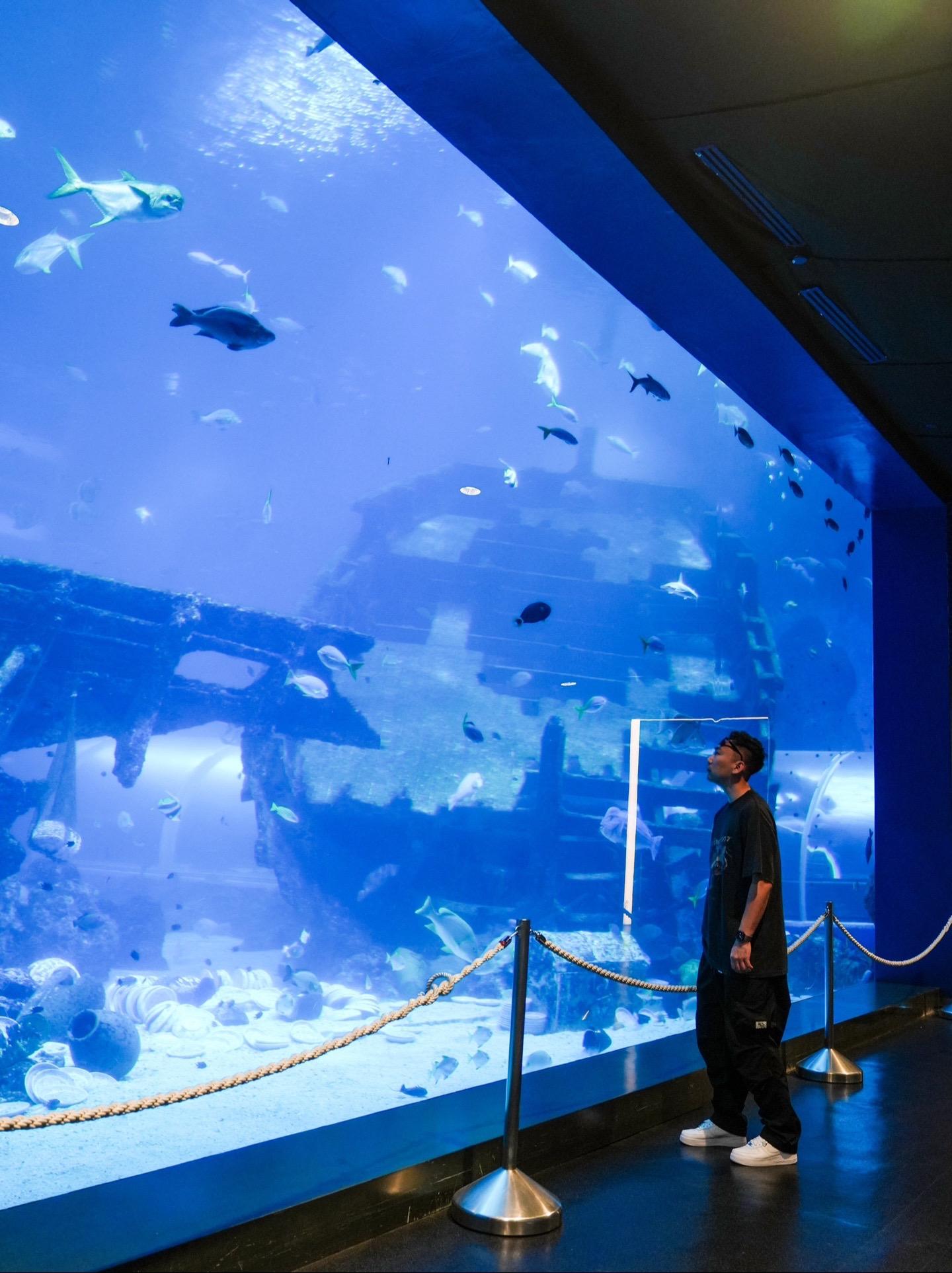 海底穹顶の终极浪漫。SEA海洋馆+海之味餐厅24小时通关攻略  当6万...