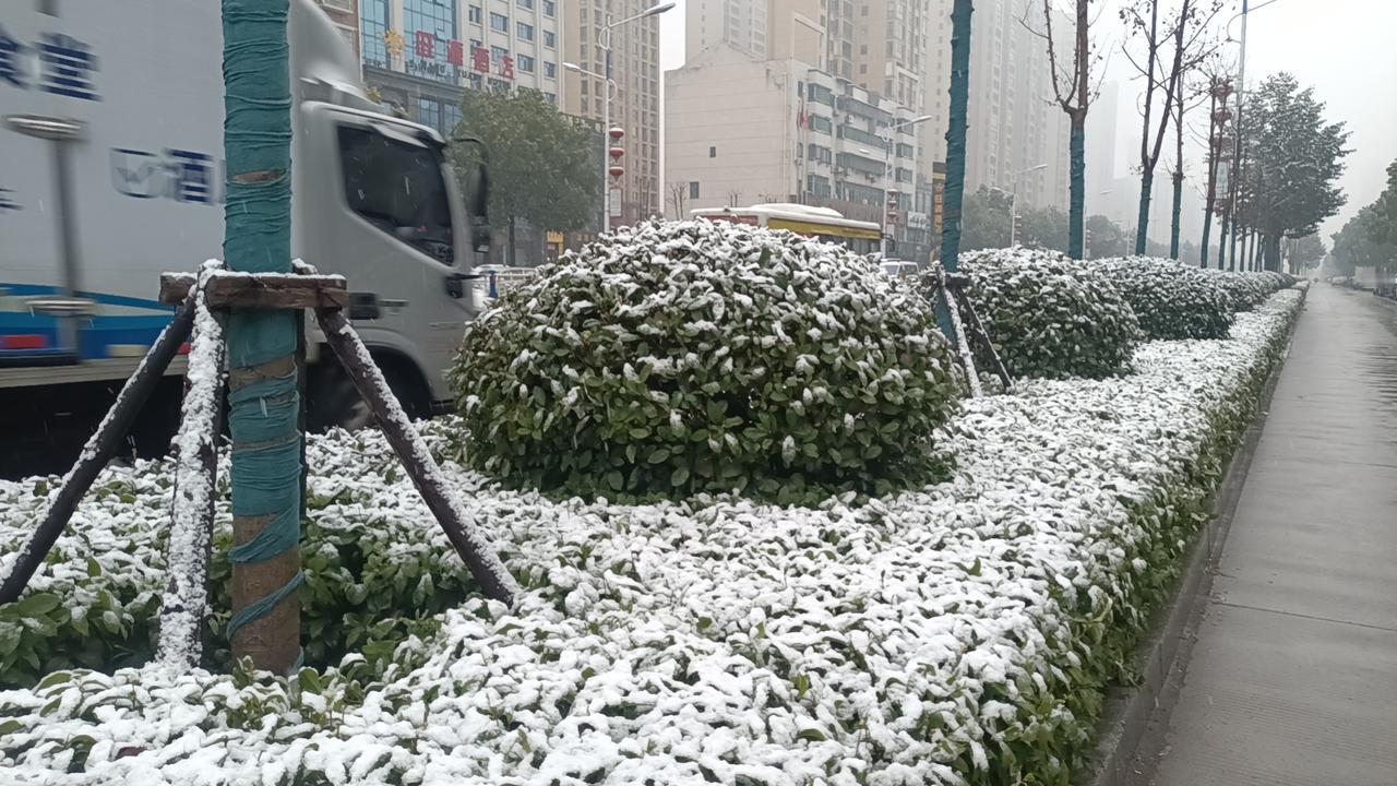 想象一下，当那些身穿彩色服装、身手矫健的滑雪运动员在空中翻转、旋转，仿佛在演绎一
