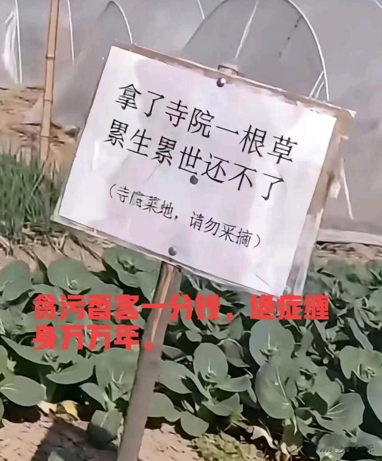对于这样的告示你们咋看？