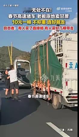 目击者称高速堵车卖甘蔗卖了几百根，高速堵车原地卖甘蔗目击者发声：10元一根，不称