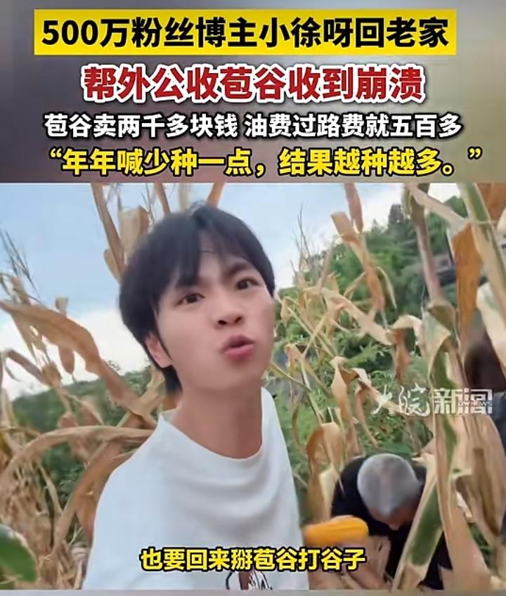 500万博主回老家收苞谷收到崩溃
 
坐拥500万粉丝的博主小徐呀，回到老家，逃