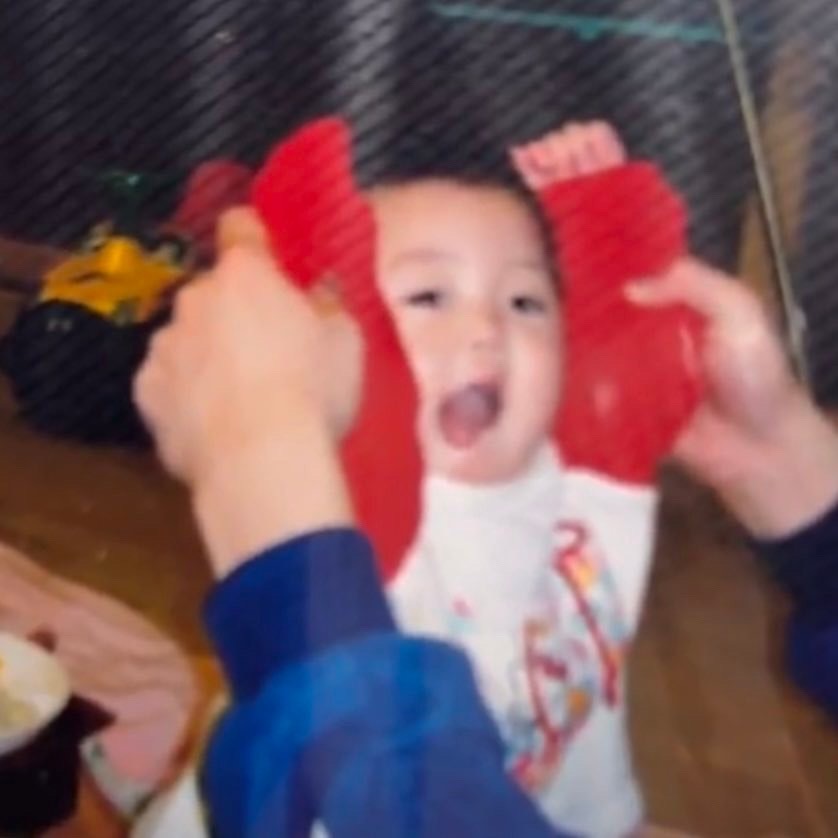 论一只豚太子是如何长大的👑… 