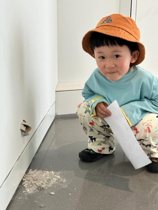 杭州近期坠有意义的展❤️