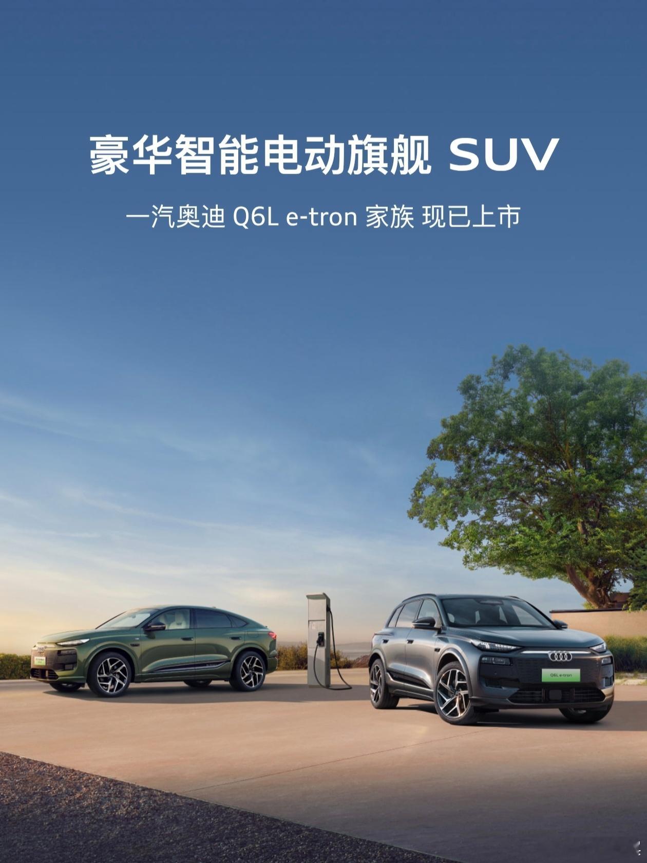 奥迪的电动答案更豪华的电动车  开着奥迪Q6L e-tron带狗狗体检，才懂什么