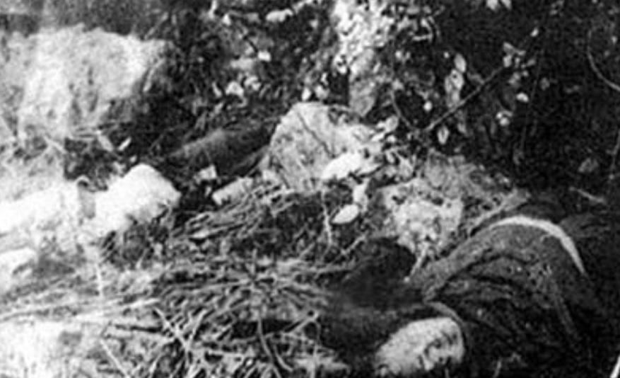 1964年，新中国都成立15年了，没想到湘西还有土匪持枪作恶，这事层层上报，直接
