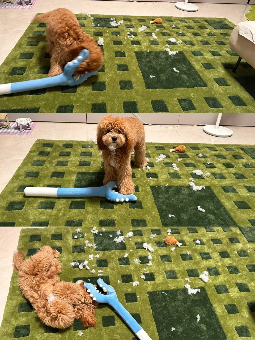 麻麻 听说你没看过下雪