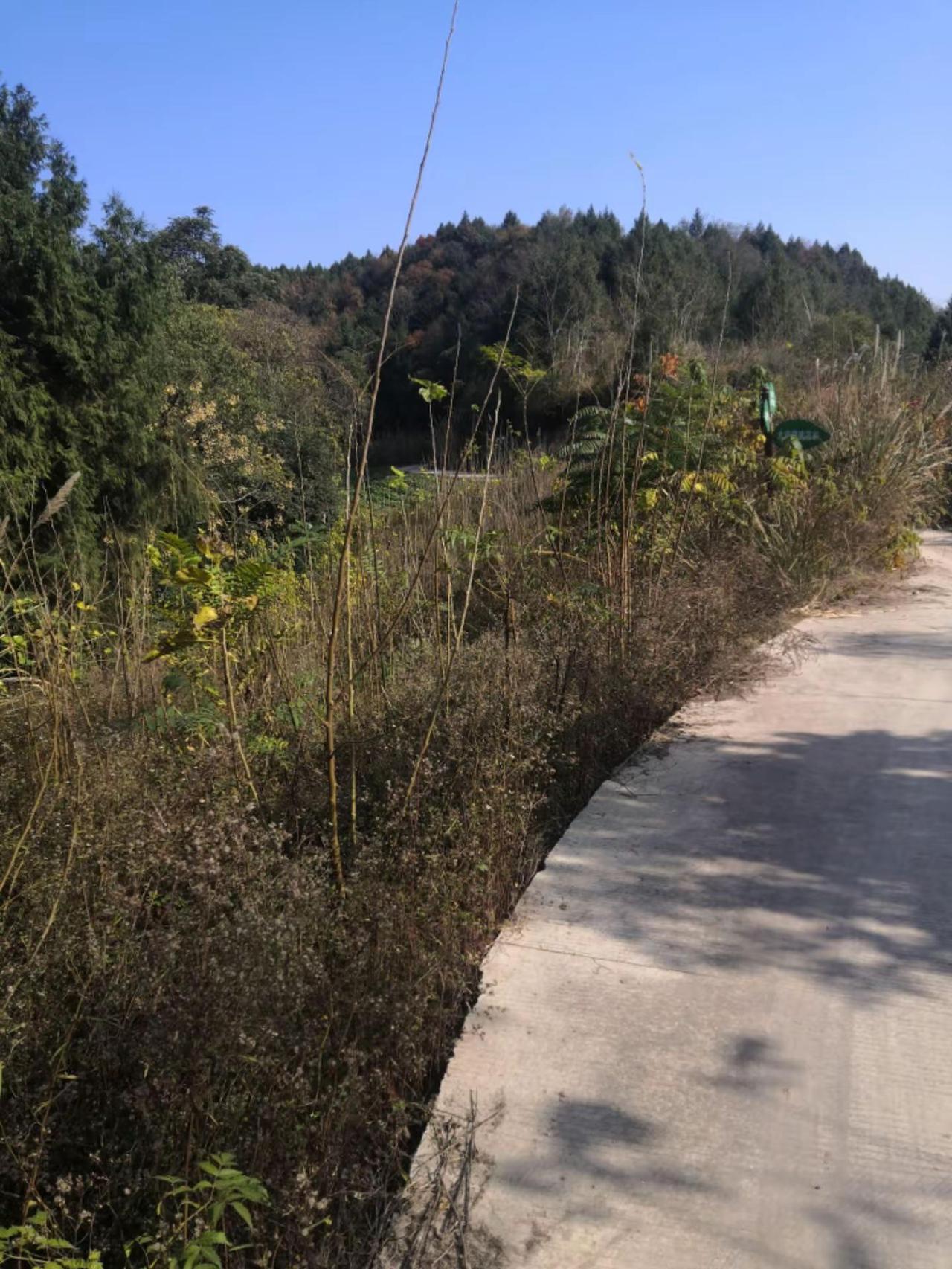 农村山顶我的乡村生活 大山深处自然美山清水秀好风光 乡村风景