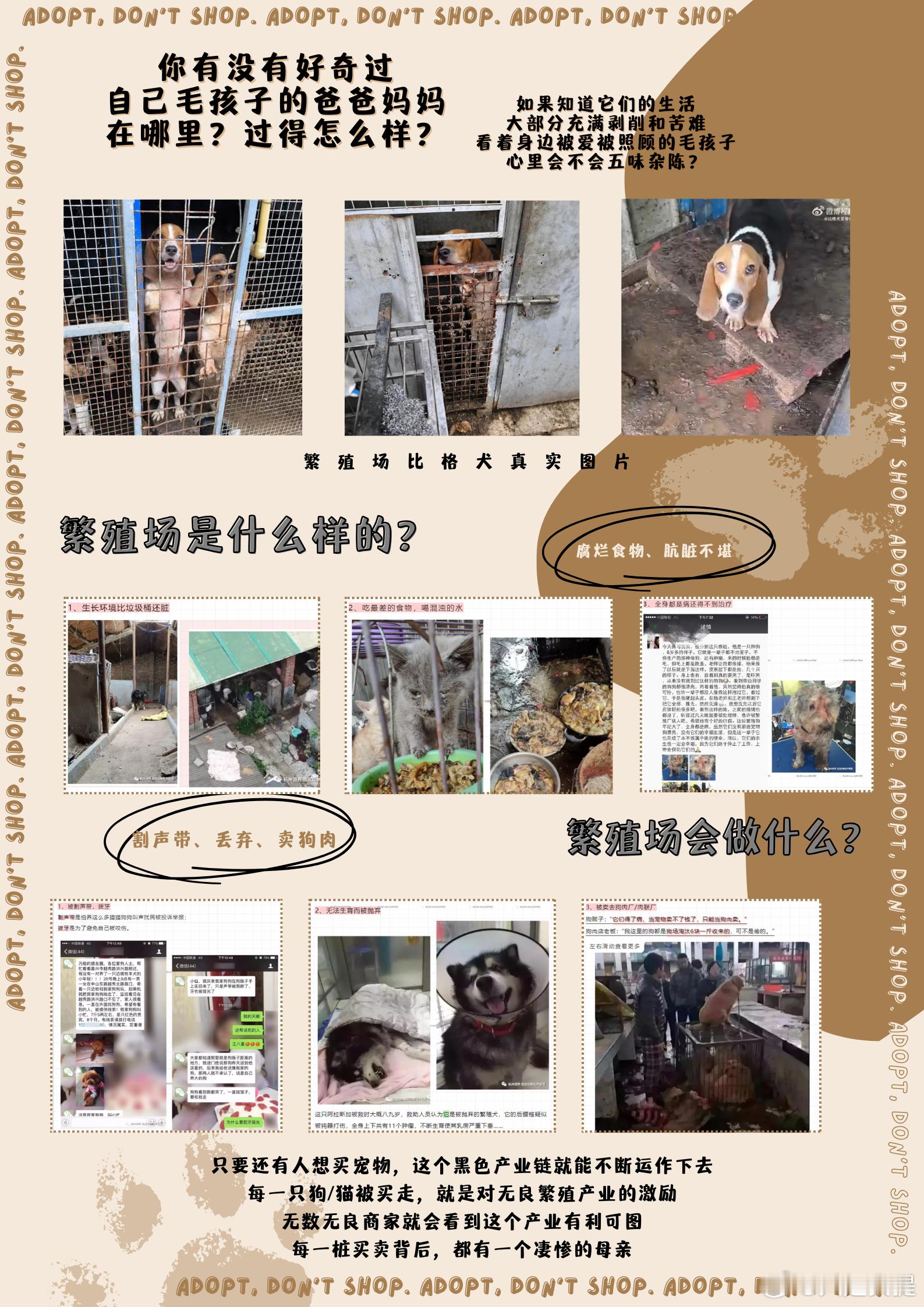 翻出了以前做的领养代替购买海报，感觉信息密度有点低，过滤词很多，语句和排版不太有