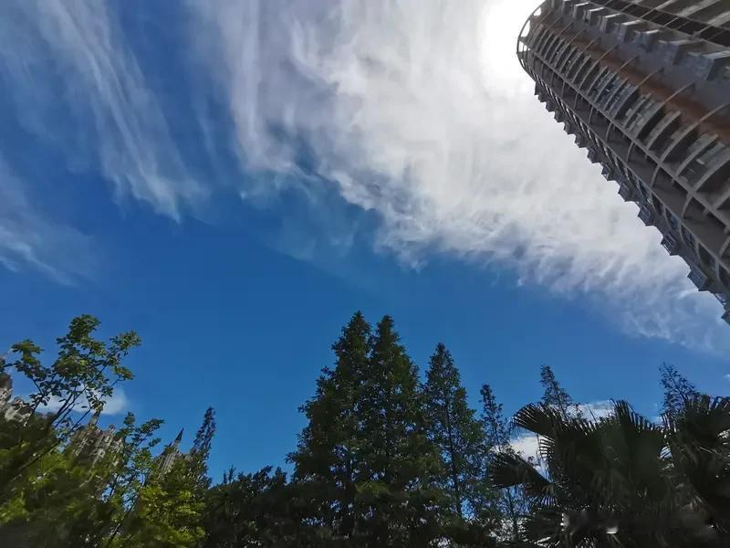 翻相册看到这张夏日随手拍的天空，直接爱住！当时正值傍晚，天空像被打翻的调色盘。