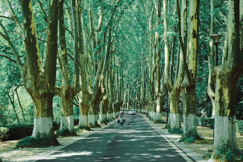 感觉大家对“好人一生平安”后续很期待啊。网络上有不少打着这个旗号的内容，像在哔哩