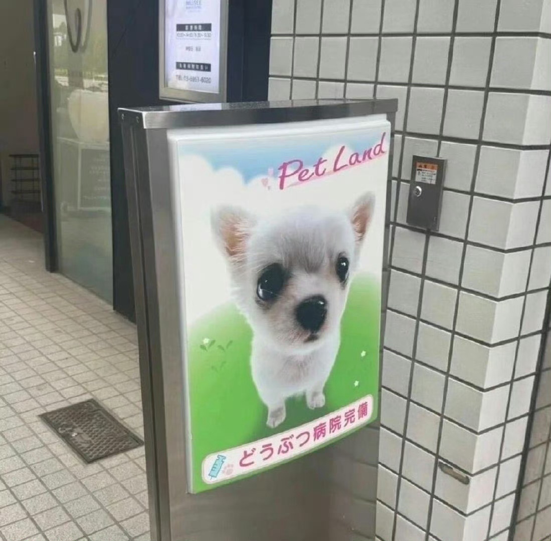 最近用的朋友圈背景图⊹꙳🫧˖✧🎀꙳ ₊‧₊˚✩⊹ 
