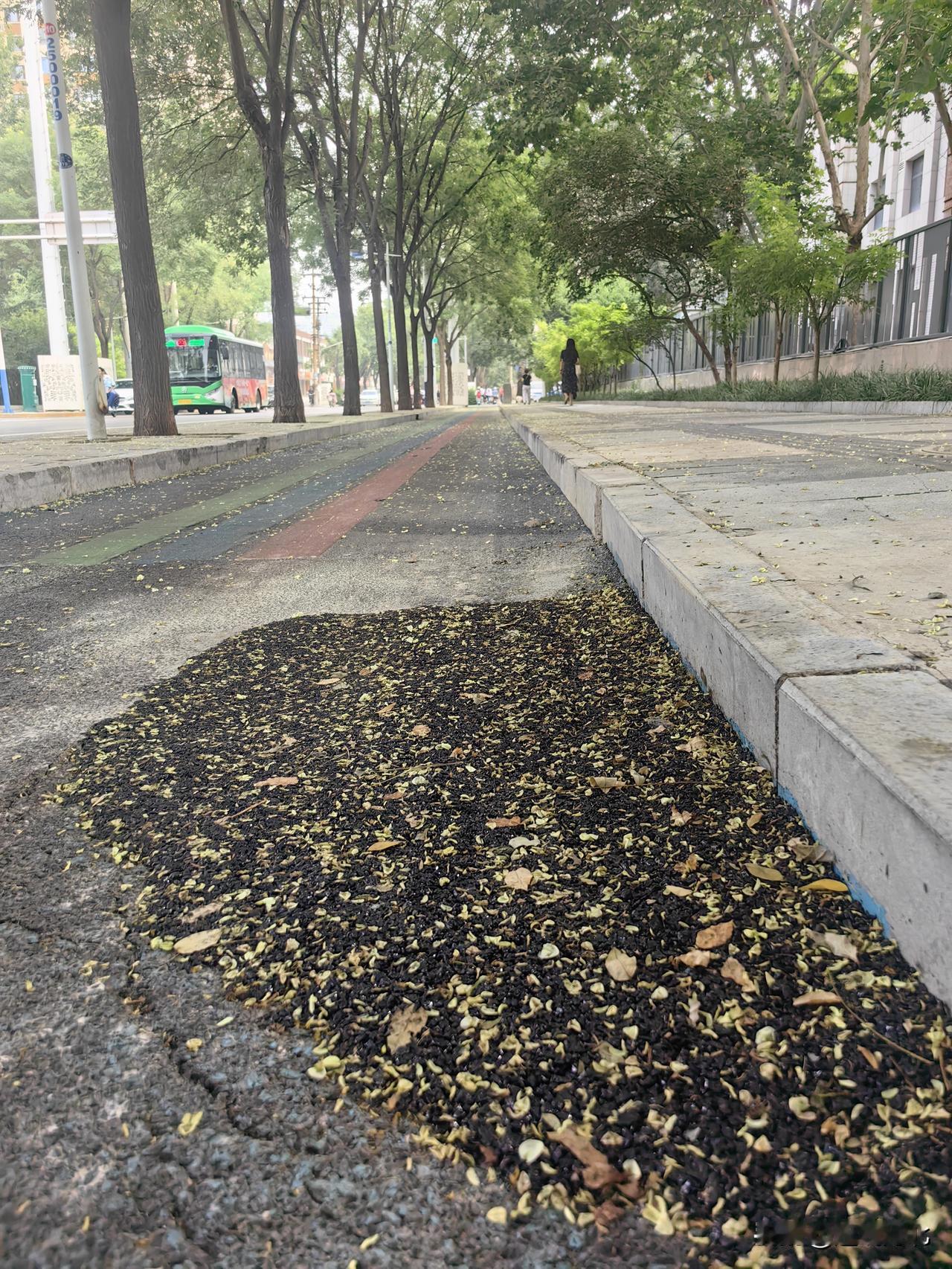 【后续实拍！休门街路面坑洼已完成修补】此前7月27日，实拍反映休门街中国邮政河北