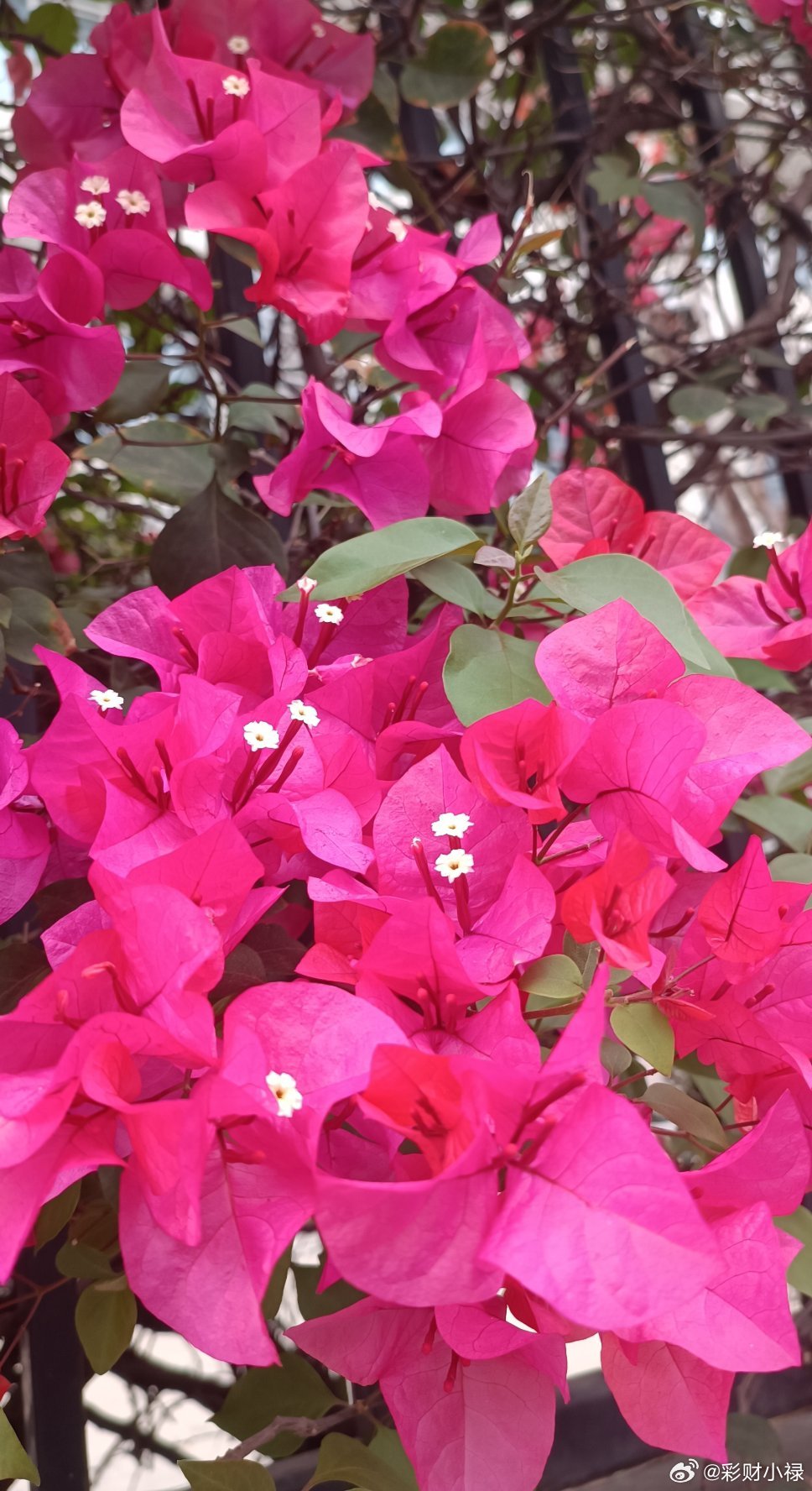 现在最重要的事情是保持身体健康，心情愉快，在这两件事的基础上尽量多的赚些钱，就很