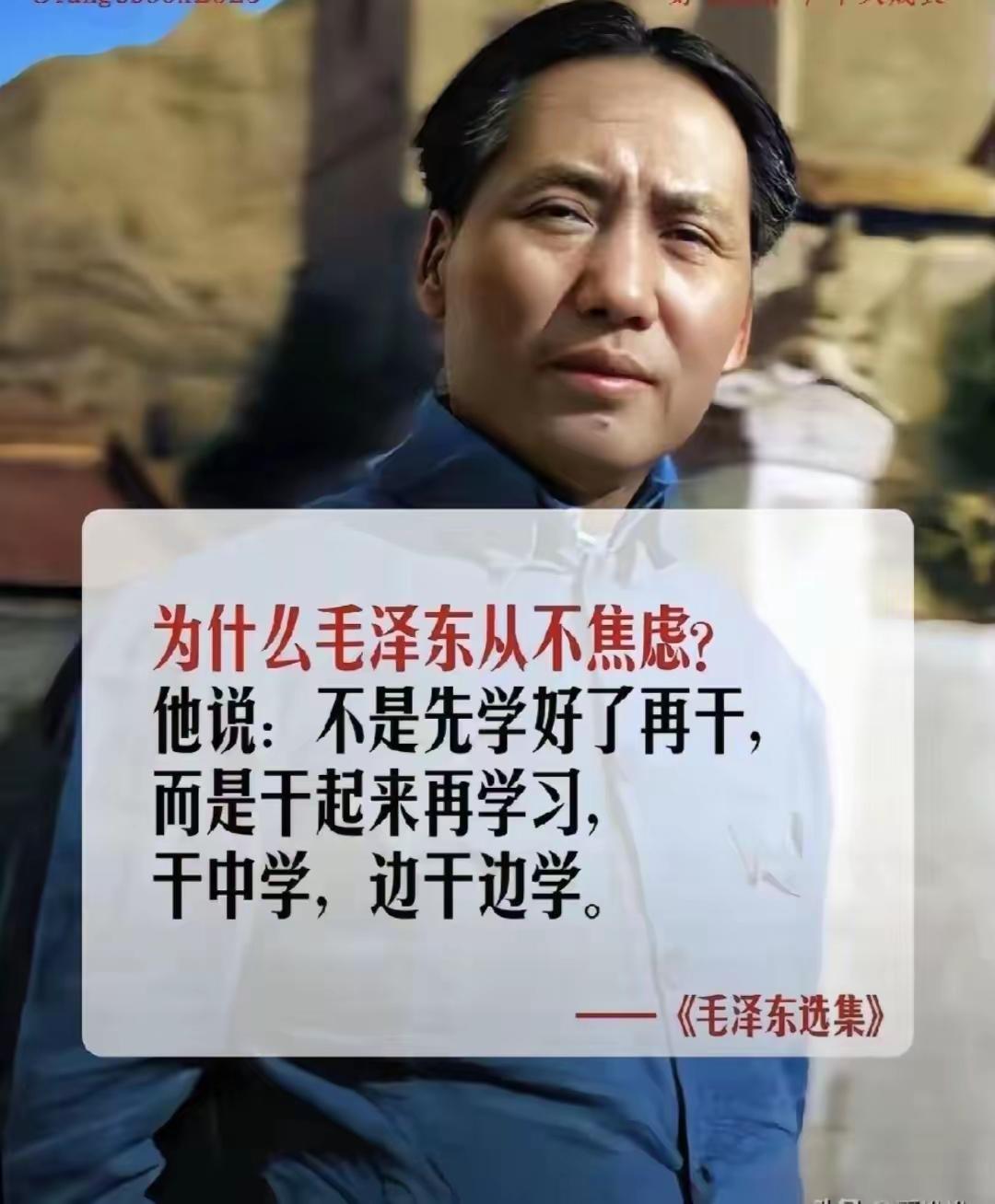 学中干，边学边干