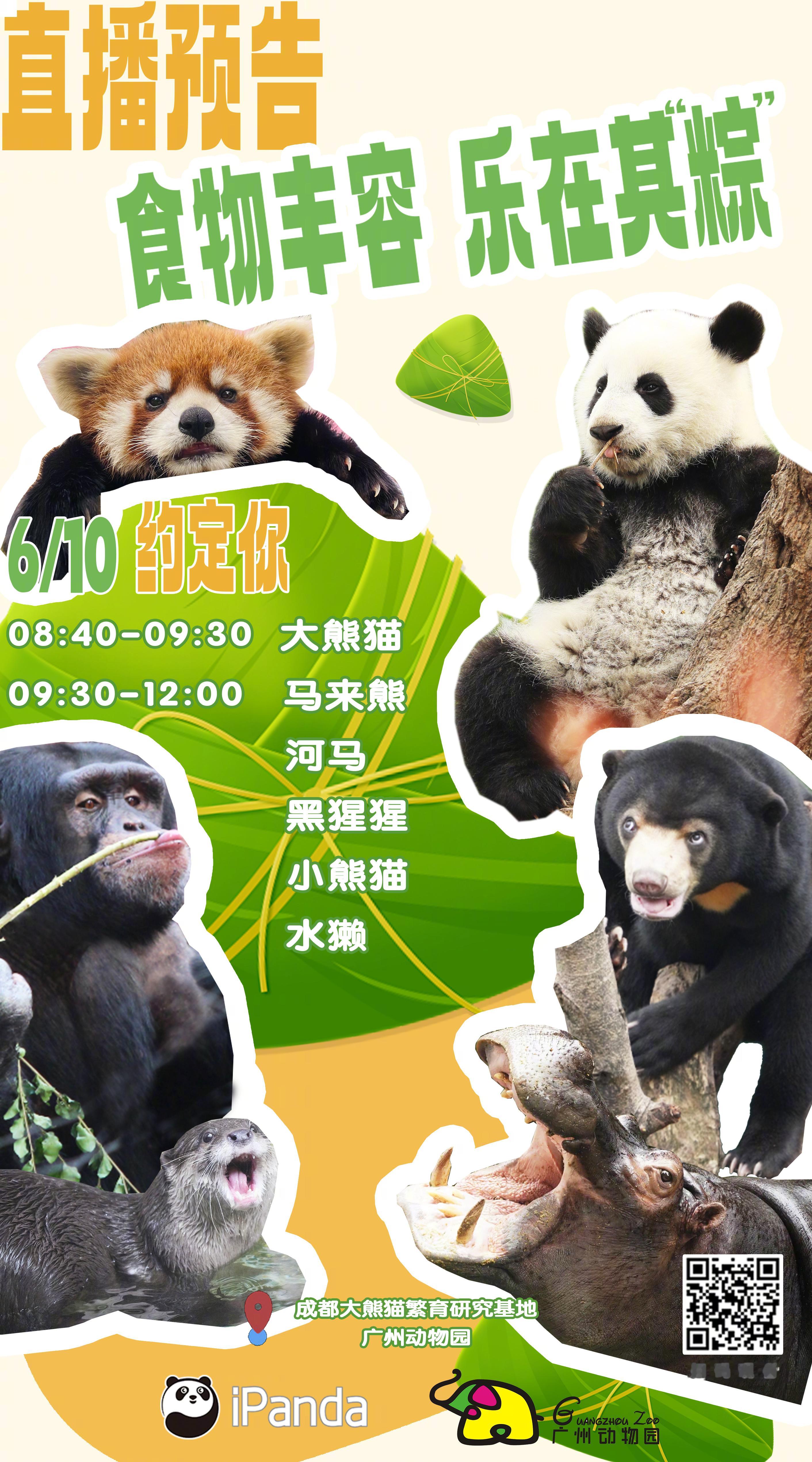 【播出预告：食物丰容，乐享其“粽”[粽意你]】明日#端午#，动物园里的小动物们会