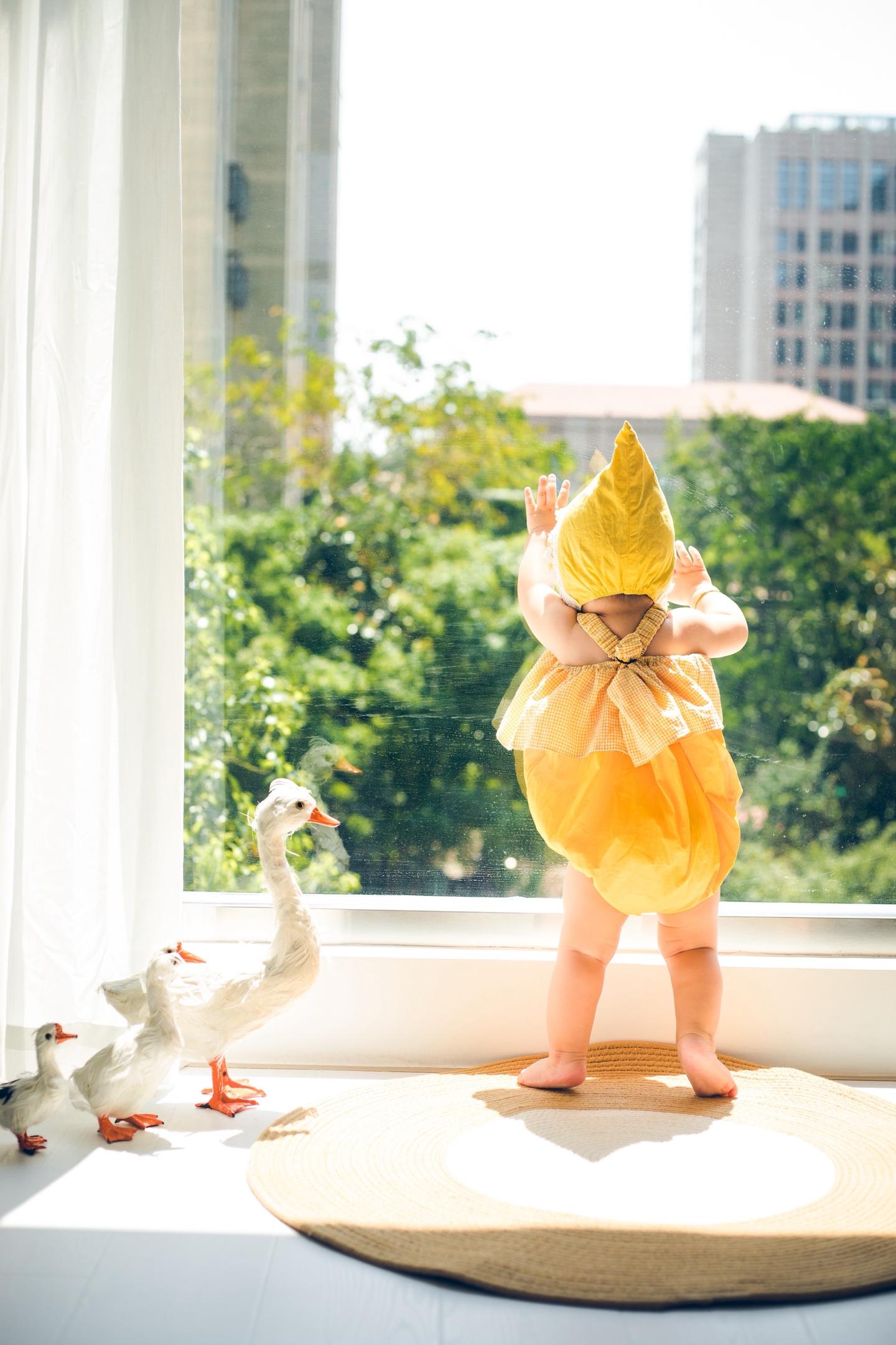 尝尝乌梅 ～ 收获可爱鹅子一枚