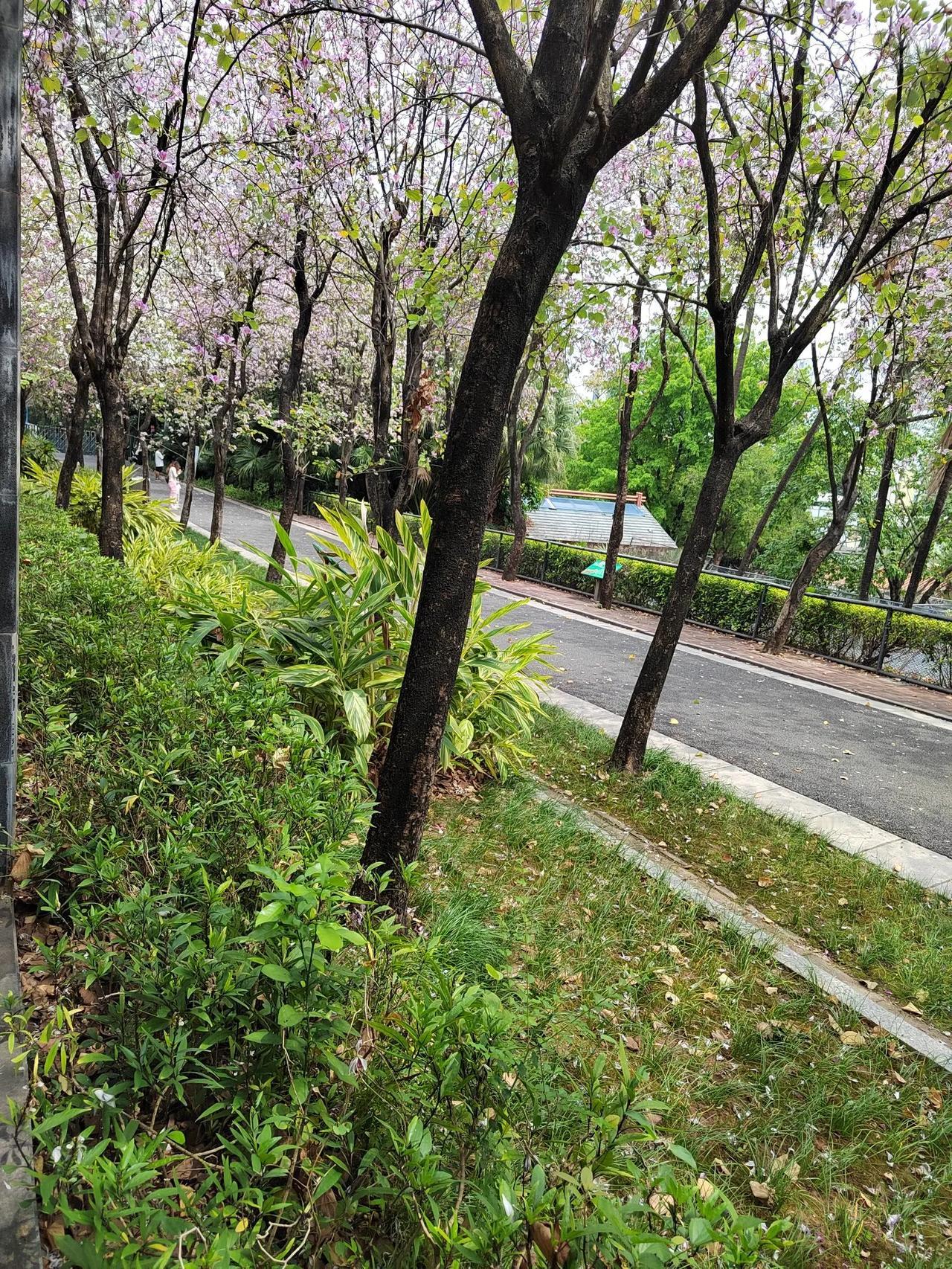 上联：月落花枝上，诚邀下联日穿树影间。