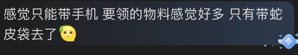 砍丽丽这哪里是去看演唱会的？明明是去“进货”的！