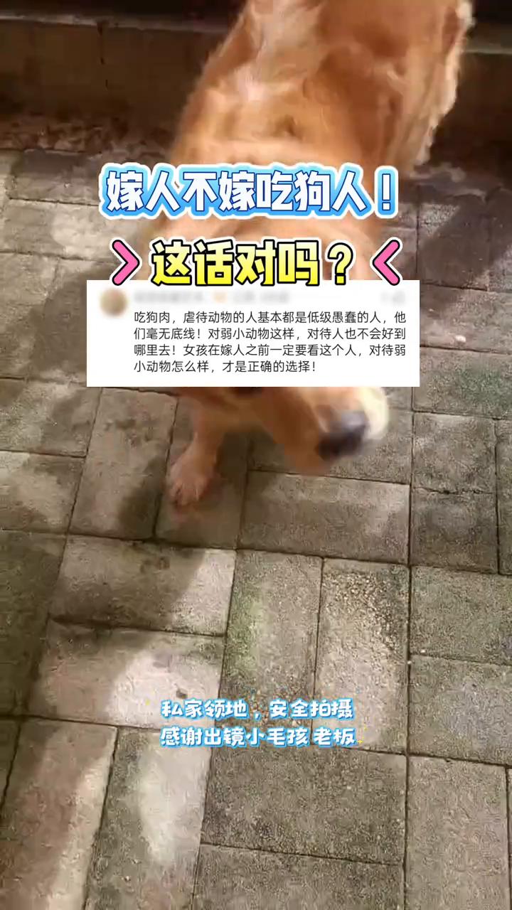 嫁人不嫁吃狗人！这话对吗？
吃狗肉，虐待动物的人基本都是低级愚蠢的人，他们毫无底