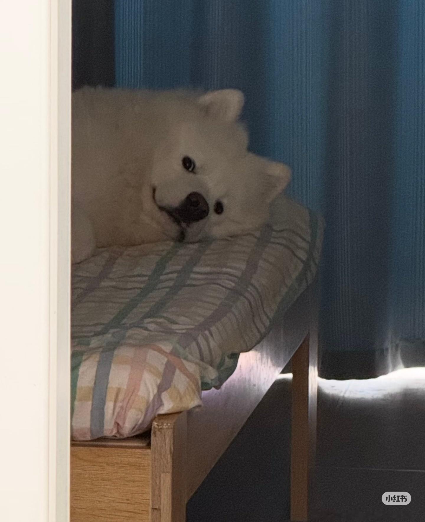 早上好耶 