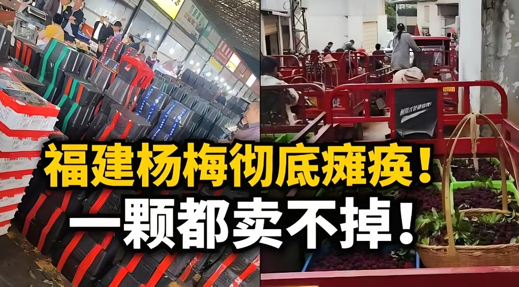 “你们泡药的时候想过我会不会生病吗？没有！那现在卖不动了，我凭什么心疼你？”这段