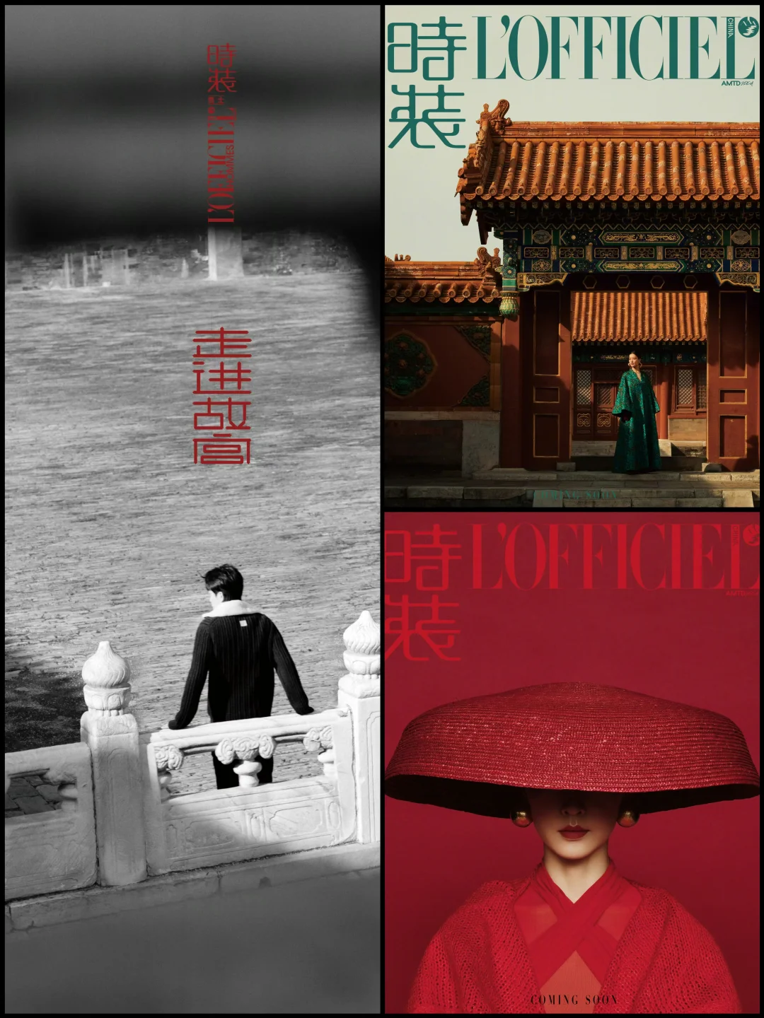 王楚钦｜杜鹃｜故宫