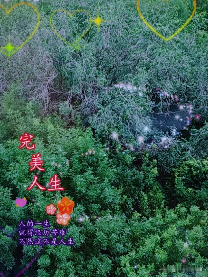 喜欢小区的绿化
有走进森林的感觉
往年蚊子特多
今年药打的勤
蚊子好像少了
看看