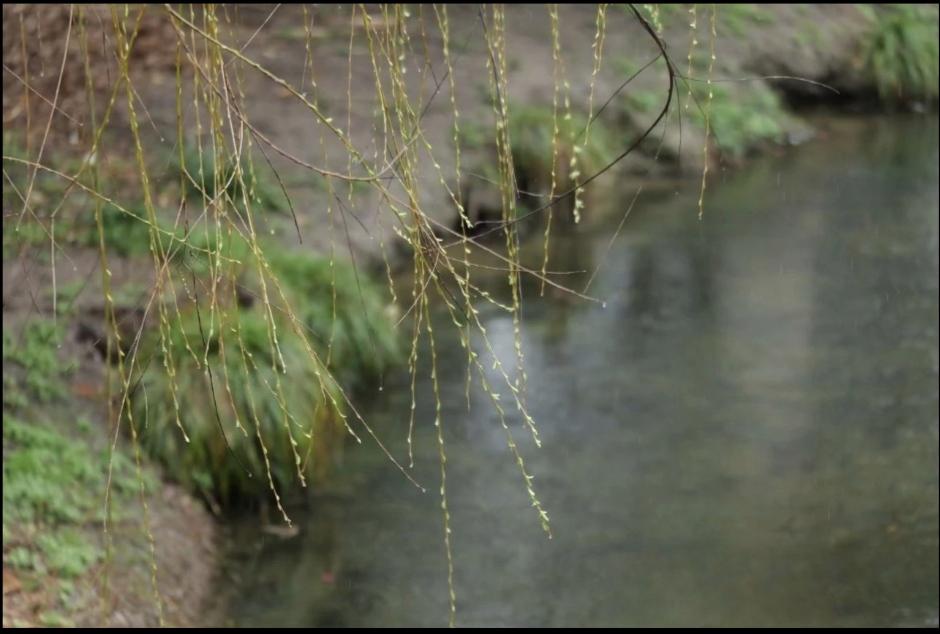 分享自己的随笔春天来了！该换衣服了！