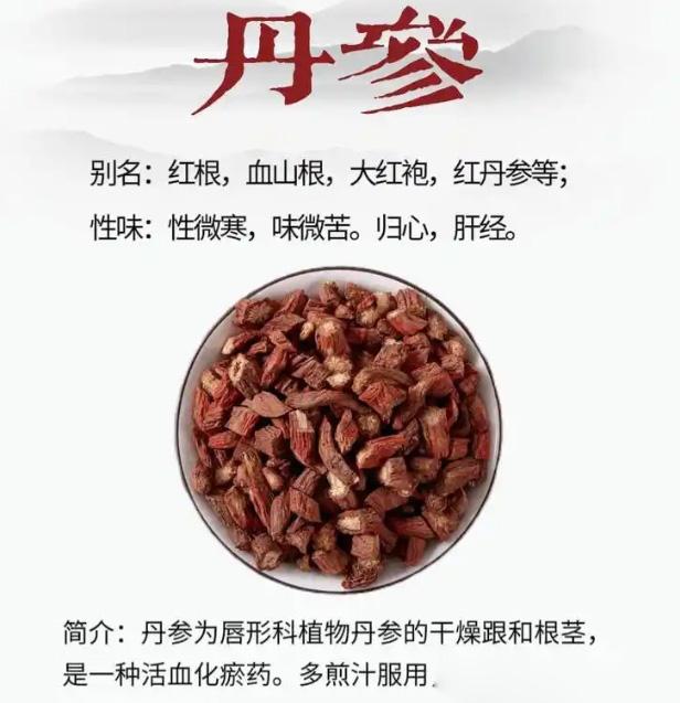 红参不是丹参，要注意区别

上去我讲到红参，有一个粉丝就说，红参不就是丹参吗？丹