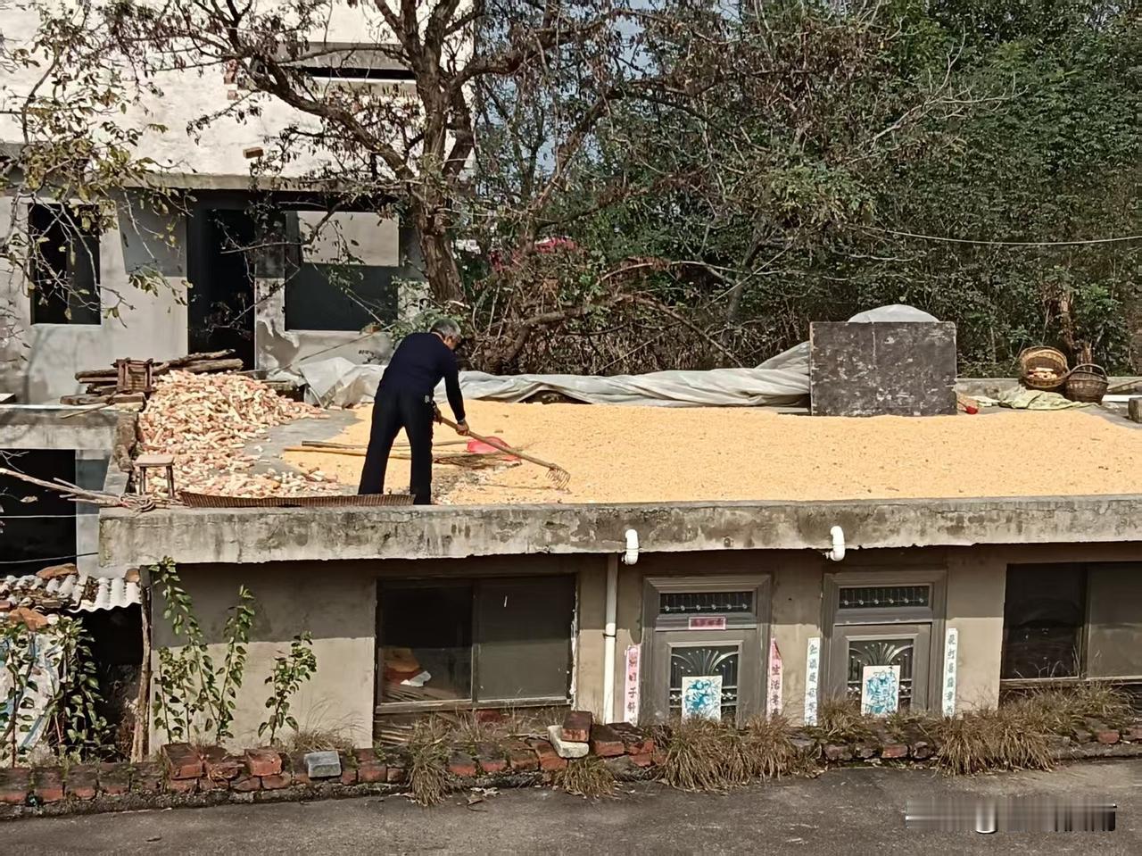 ?


一般来说，大部分地区是从80周岁开始就能领了，每个月能多几十到几百块不等