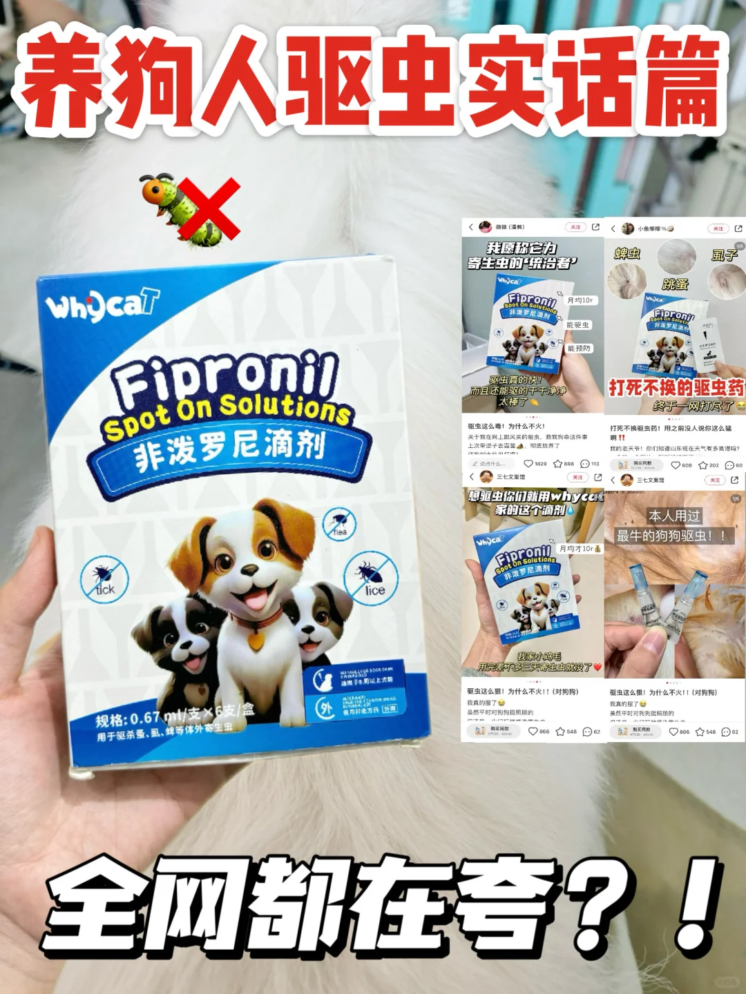 养狗不驱虫！等于要狗命😨