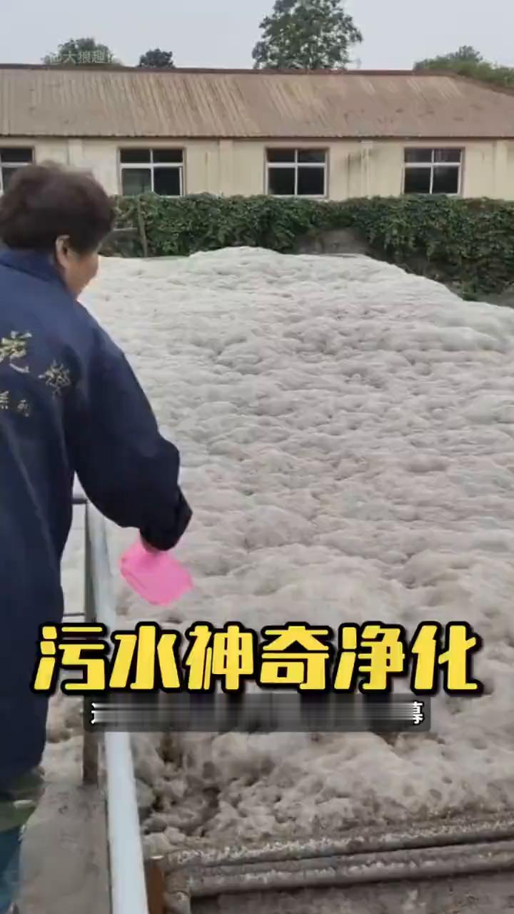 这是污水处理厂处理污水的一幕。工人往池中倒入一勺白色液体，下一秒原本平静的水面瞬