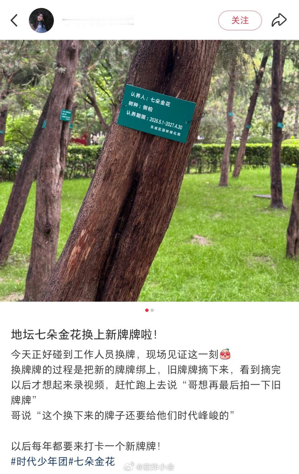 哇哇哇，我们的“七朵金花”换新牌子了耶，也算是见证七朵金花的成长啦🥰 