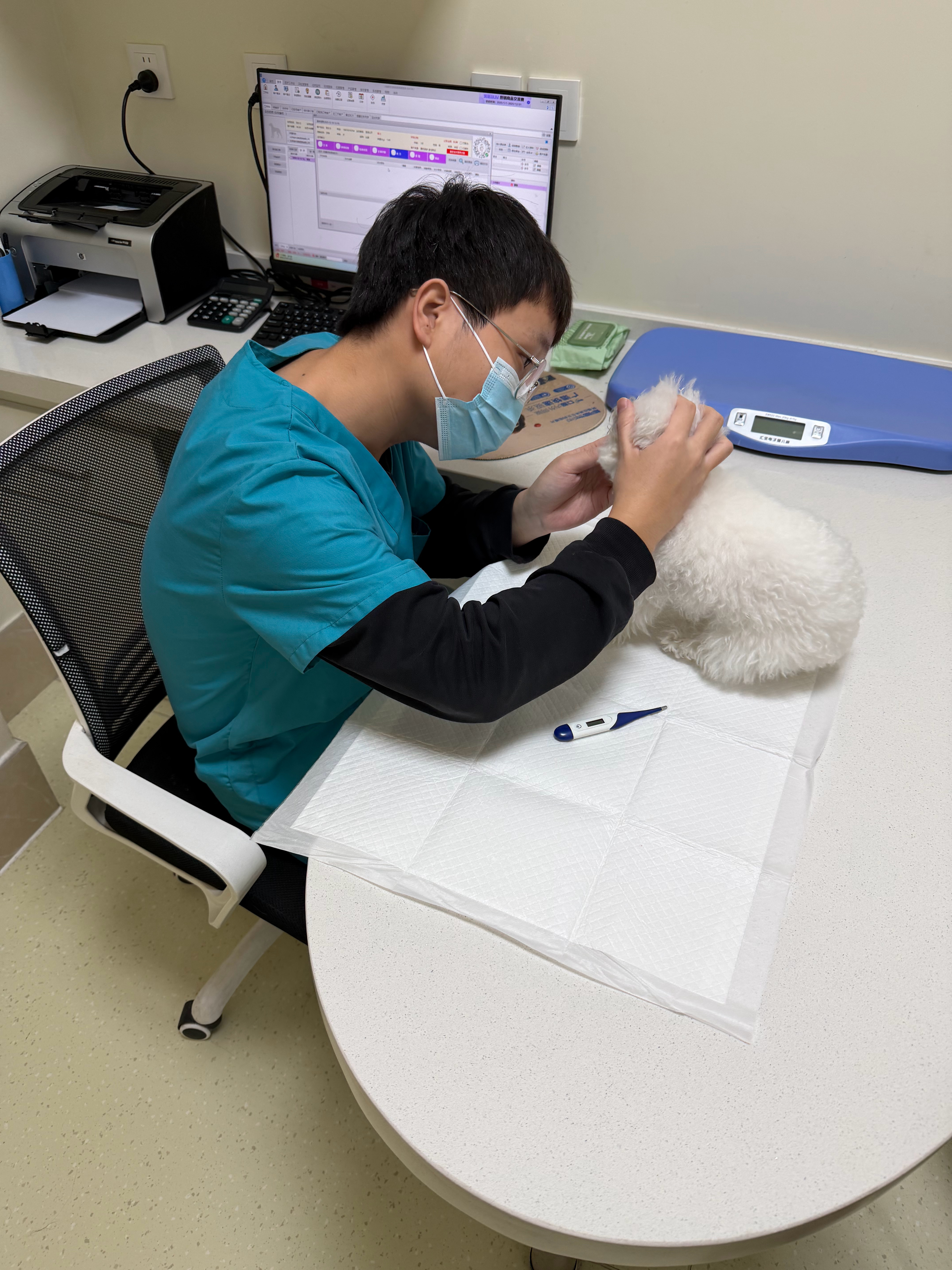 带小狗来医院看病了…