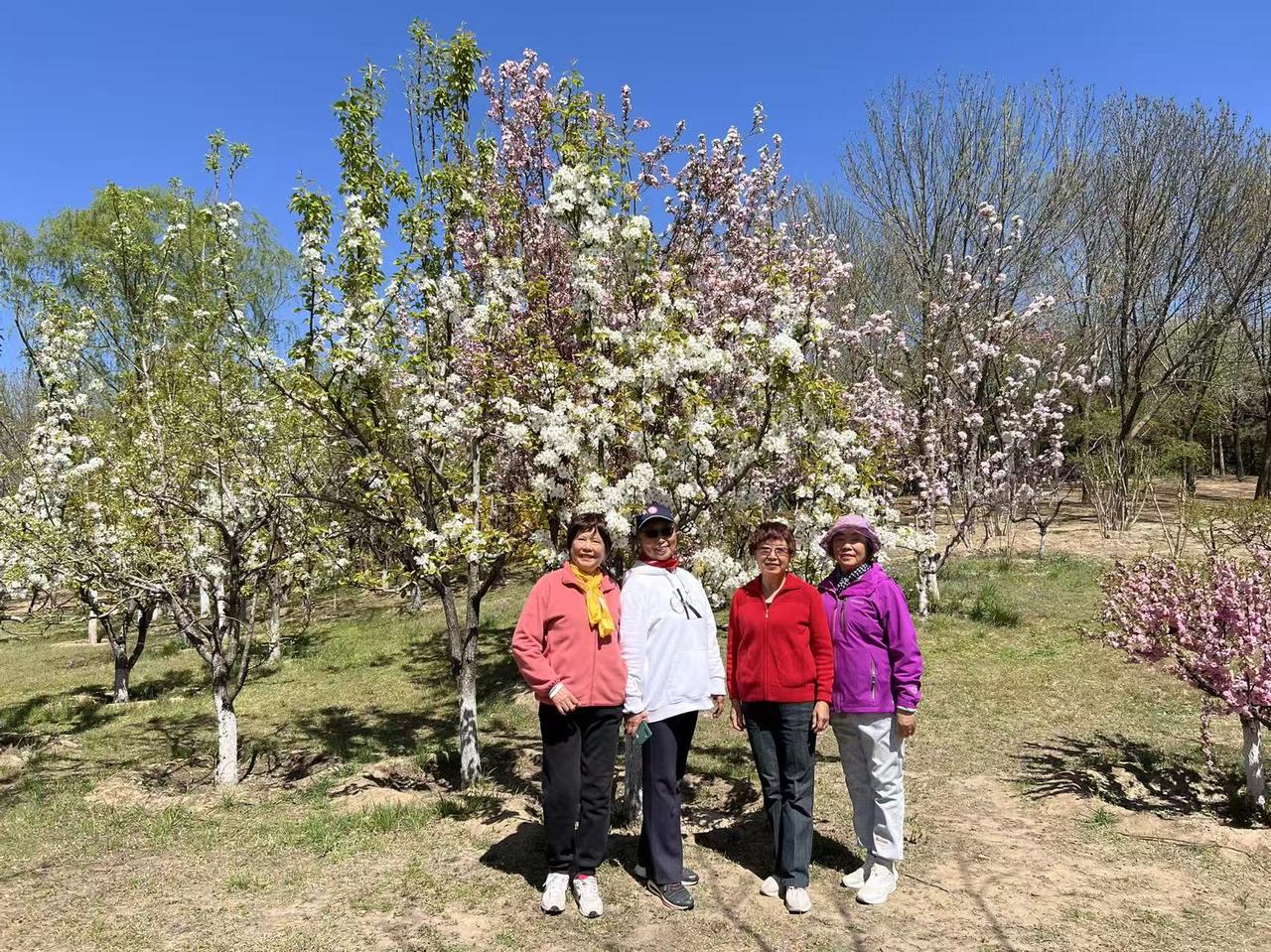 人老了，自己感觉怎么高兴就怎么活，内心充实晚年才更精彩，按自己意愿重新活一把